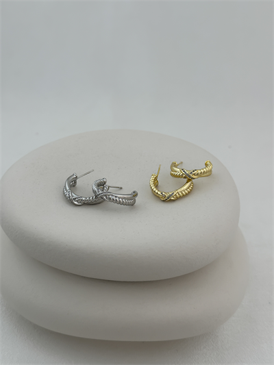 Özel Seri Burgu Plaka Zirkon Taşlı X Detay Küpe