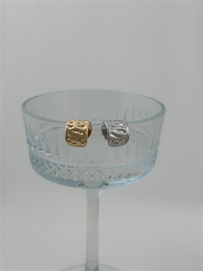 Özel Seri Dövme Plaka Kıkırdak Küpe