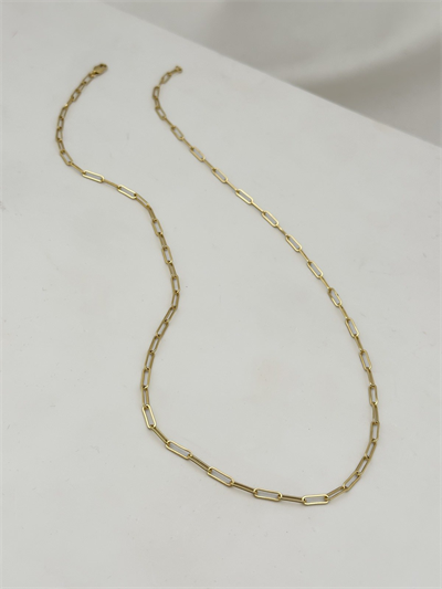 Özel Seri Oval Zincir Kolye (60 Cm)