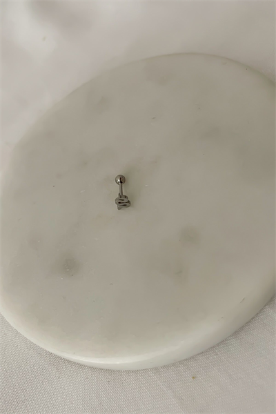 Özel Seri Plaka Yılan Piercing