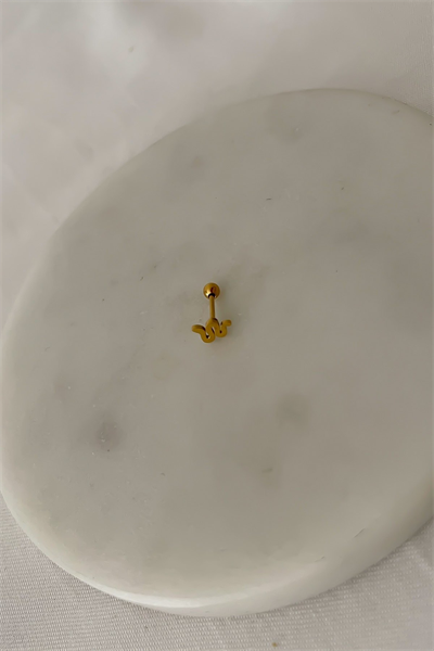 Özel Seri Plaka Yılan Piercing