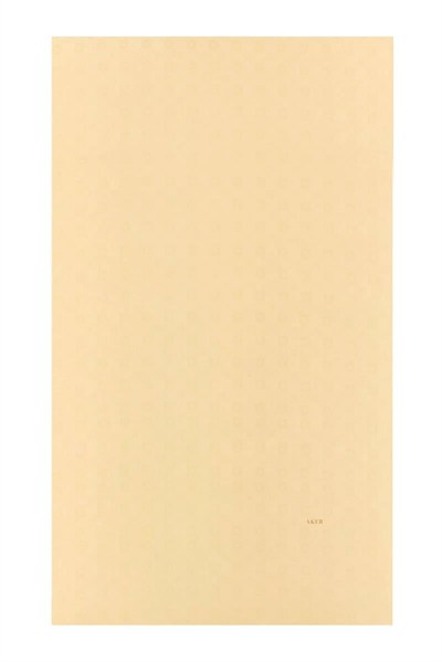 Aker Jakarlı İpek Koton Şal - 8935977-932 Açık Gold