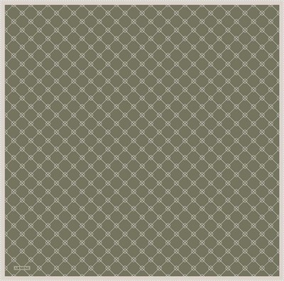 Armine İpek Eşarp Nostalji - 8555-07 Haki Twill