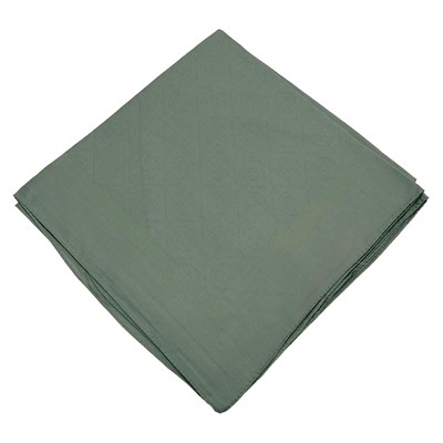 Pierre Cardin Cotton Eşarp - 1030400-953 Çağla