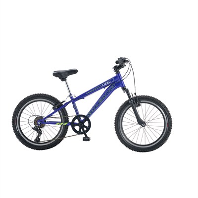 LION 20 V