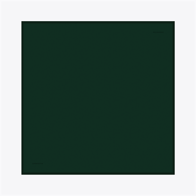 Plain Desen İpek Twill Eşarp