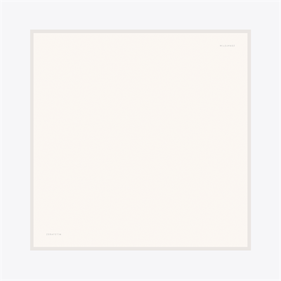 Plain Desen İpek Twill Eşarp