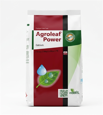 ALTINTAR Agroleaf Power Meyve Gelişimi Ve Sertlik Için (11-5-19+9 Cao+2.5mgo+te) 2kgALTINTARALTINTAR Agroleaf Power Meyve Gelişimi Ve Sertlik Için (11-5-19+9 Cao+2.5mgo+te) 2kg