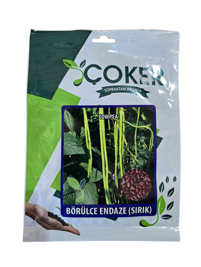 BÖĞRÜLCE (SIRIK )