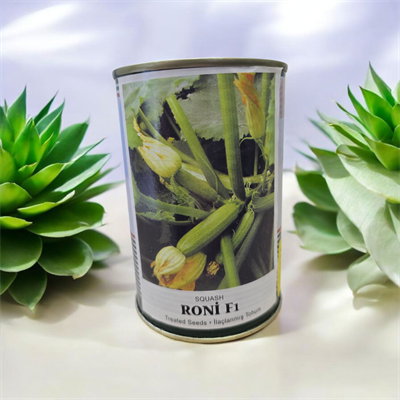 RONİ F1 KABAK TOHUMU