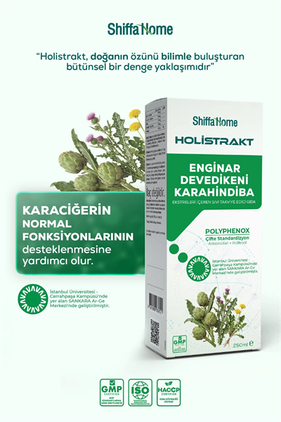 HOLİSTRAKT - Enginar, Devedikeni ve Karahindiba İçeren Sıvı Ekstrat 250 ML