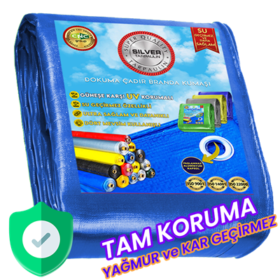silver-pe-branda-100-grm2-eb-e5a.png