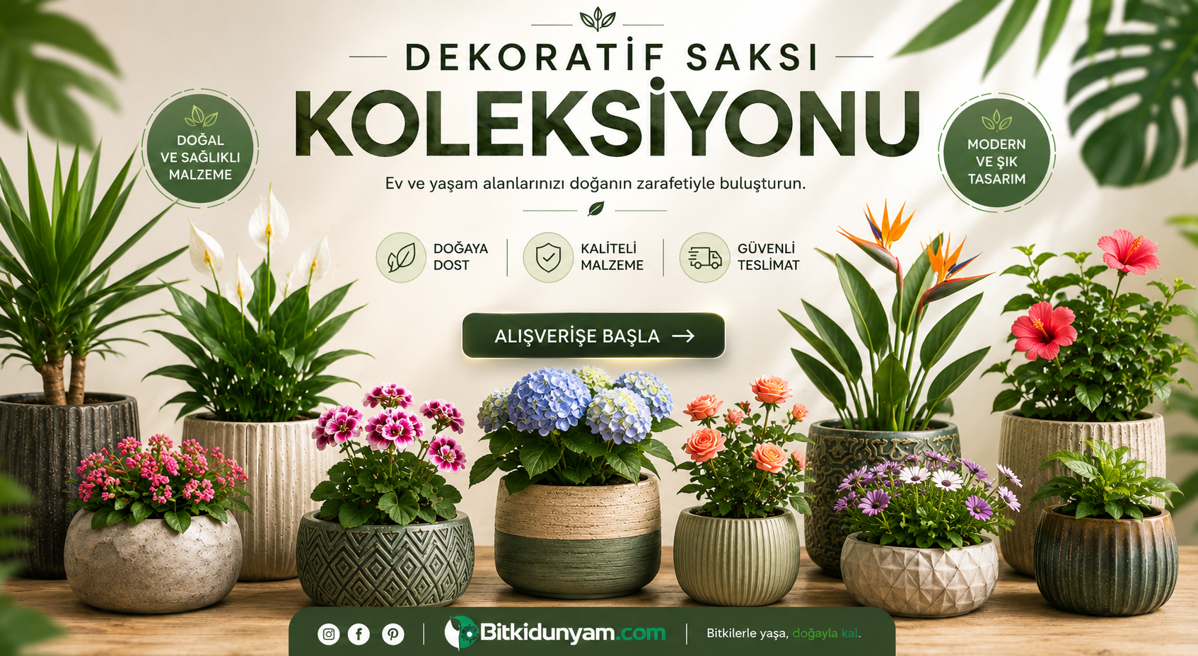 Dekoratif Saksılar