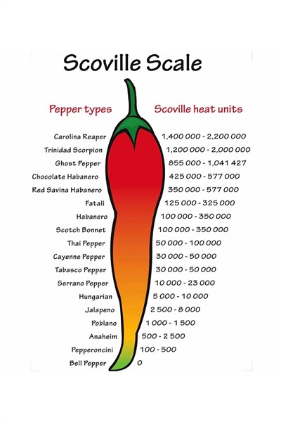 Arnavut Biberi Tane (Cayenne Pepper ) 250 gr.