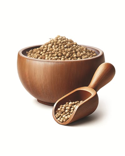 Kişniş Tane 100 gr.