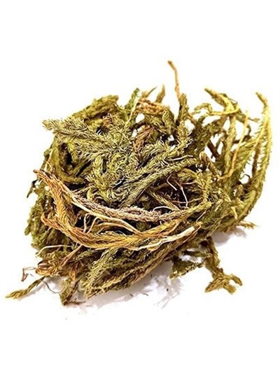 Kurt Pençesi 50 gr.