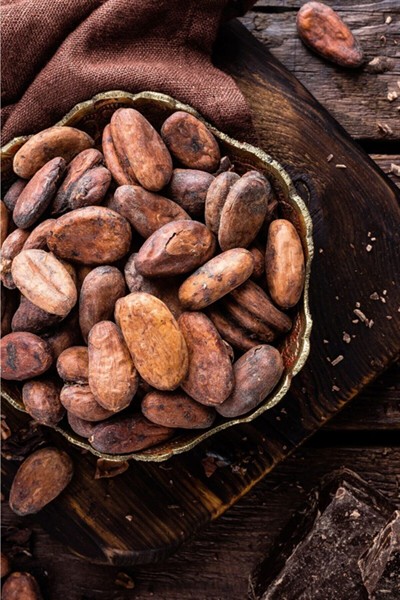 Organik Kakao Çekirdeği (ORGANİK SERTİFİKALI) 50gr