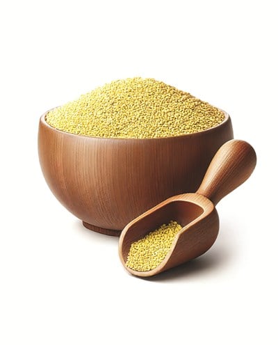 Sarı Haşhaş 100 gr.