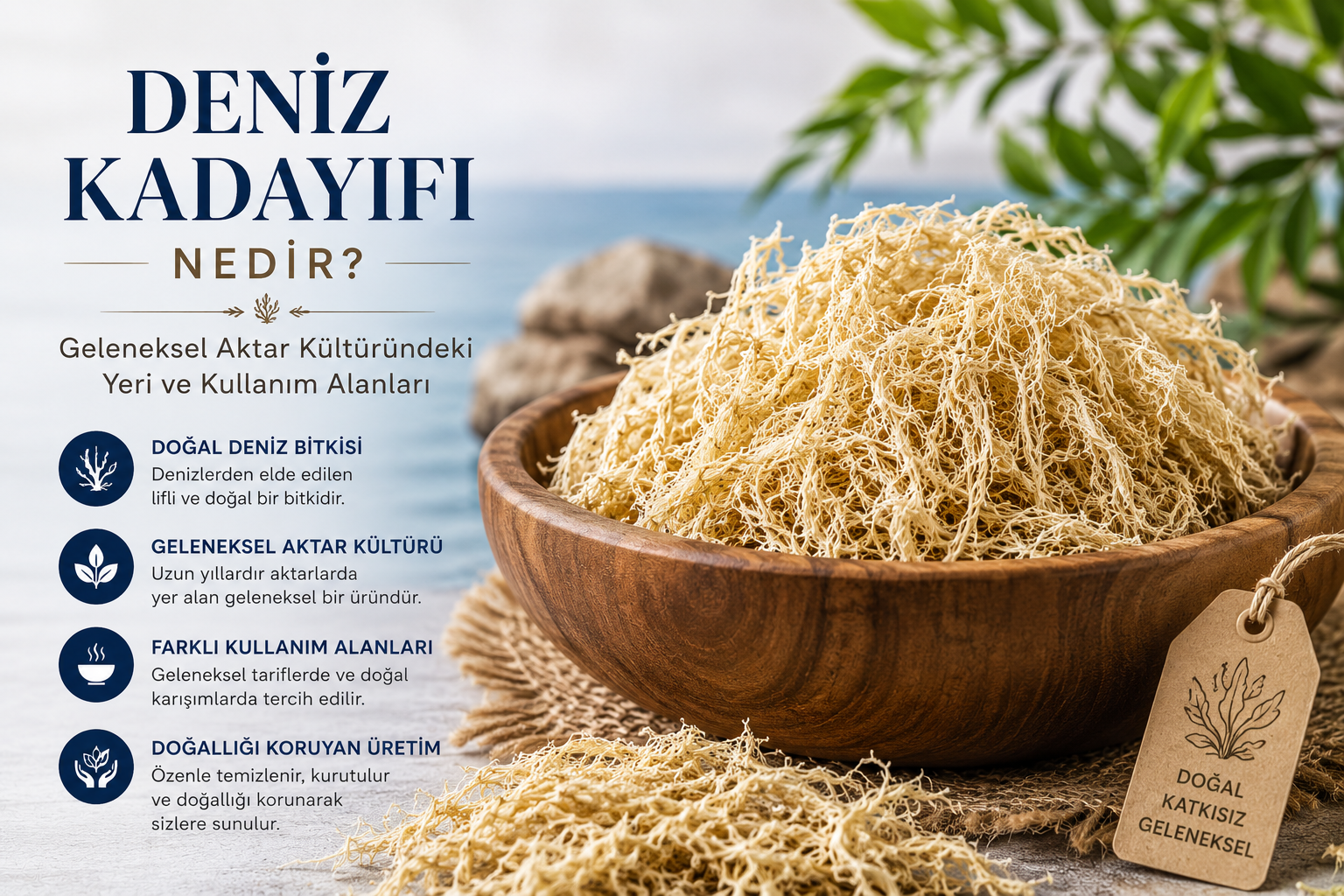 Deniz kadayıfı,Deniz kadayıfı fiyatı,Deniz kadayıfı al,Deniz kadayıfı özellikleri