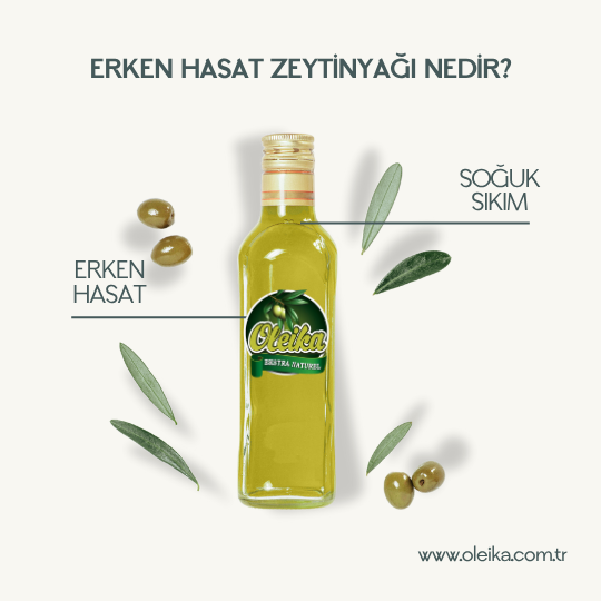 Erken Hasat Zeytinyağı Nedir?