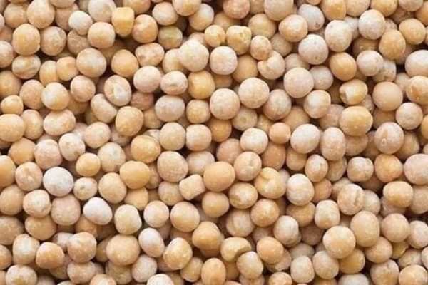 çıtır leblebi nasıl yapılır