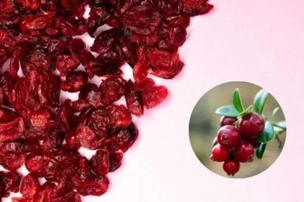 cranberry, turna yemişi, turna yemişi faydaları, cranberry faydaları