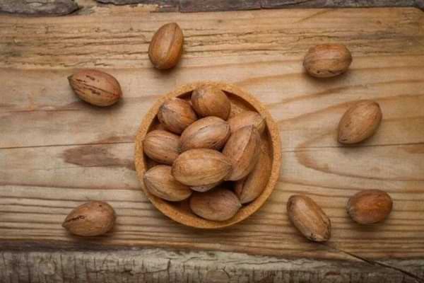 pikan cevizi, pikan cevizi faydaları