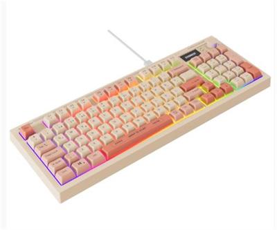 Everest KB-79 SILENT PRO Bej-Pembe-Turuncu SESSİZ RGB Q Membrane Oyuncu Klavyesi