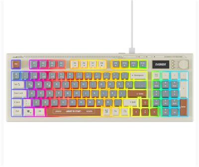 Everest KB-79 SILENT PRO Gri Mavi-Gri-Kahve SESSİZ RGB Q Membrane Oyuncu Klavyesi