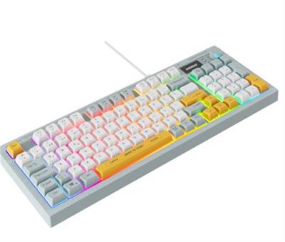 Everest KB-79 SILENT PRO Mavi-Beyaz-Sarı SESSİZ RGB Q Membrane Oyuncu Klavyesi