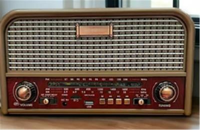 Everton RT-715  Bluetooth-USB-SD-FM Şarjlı  Nostaljik Radyo Led Fener Özellikli