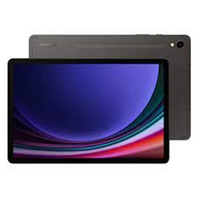 Samsung Galaxy Tab S9 Ultra SM-X910 Gri 512 GB 14.6