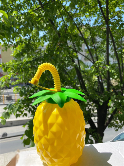 Ananas Pipetli Suluk