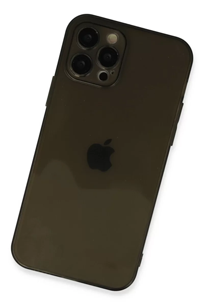Apple iPhone 12 Pro Kılıf Fly Lens Silikon - Siyah