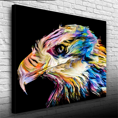 Çok ve Canlı Renklerde Dekoratif Şahin Kanvas Tablo 50 x 70