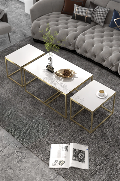 Orta Sehpa Ve Zigon Yan Sehpa Flora Set Gold Beyaz
