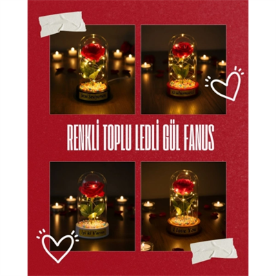 Renkli Toplu Ledli Gül Fanus
