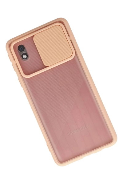 Samsung Galaxy A01 Core Kılıf Palm Buzlu Kamera Sürgülü Silikon - Pembe