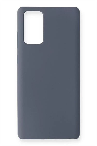 Samsung Galaxy Note 20 Kılıf Nano içi Kadife Silikon - Gri