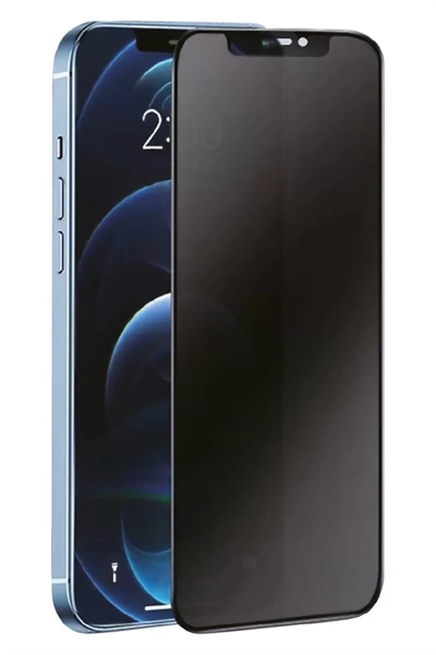 Samsung Galaxy S24 Plus 3D Antistatik Hayalet Cam Ekran Koruyucu