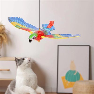 Uçan Papağan Kedi Oyuncağı