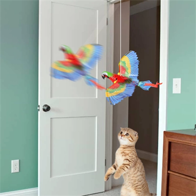 Uçan Papağan Kedi Oyuncağı