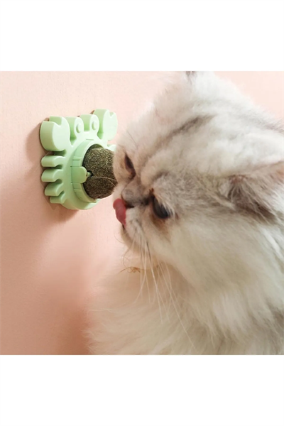Yengeç Kedi Otu Oyun Topu