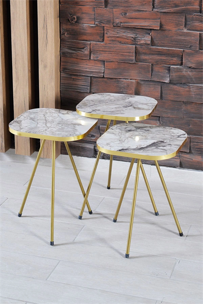 Zigon Sehpa Ve Orta Sehpa Kombin Set Altın Efes 3101
