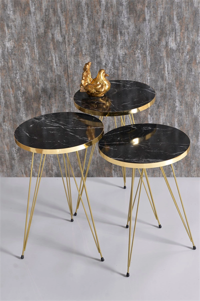 Zigon Sehpa Ve Orta Sehpa Kr Set Gold Bendir Tel