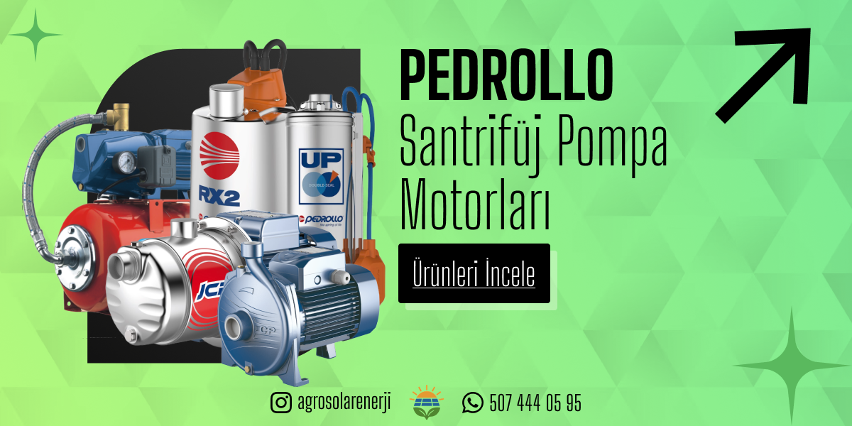 pedrollo santrifüj pompa motor ürün