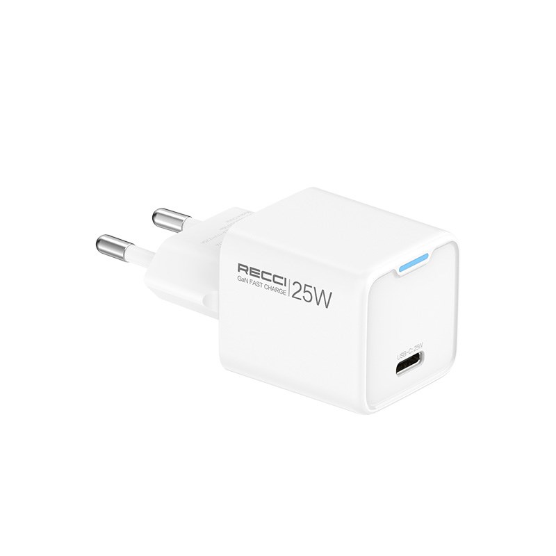 Recci RC106E GaN Teknolojili Hızlı Şarj Başlığı Type-C to Type-C PD 25W Kablolu Şarj Seti