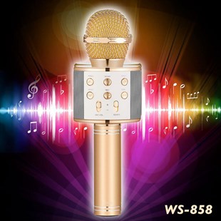 GÖRÜNTÜ & SES SİSTEMİ Paleon Wster Ws-858 Karaoke Mikrofon
