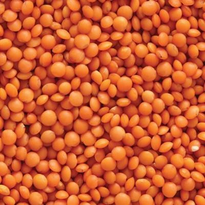 Kırmızı Mercimek Kg