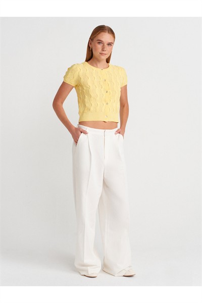 60980 Bisiklet Yaka Dokulu Düğmeli Triko Hırka-Sarı